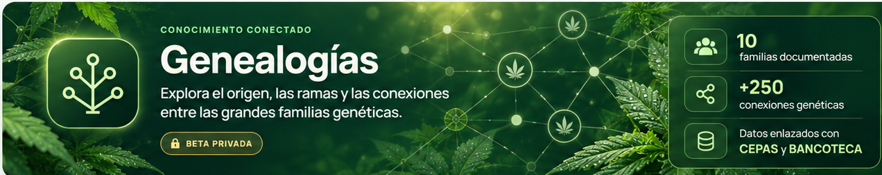 Genealogías. Explora el origen, las ramas y las conexiones entre las grandes familias genéticas. Beta privada. 10 familias documentadas, más de 250 conexiones genéticas y datos enlazados con CEPAS y BANCOTECA.