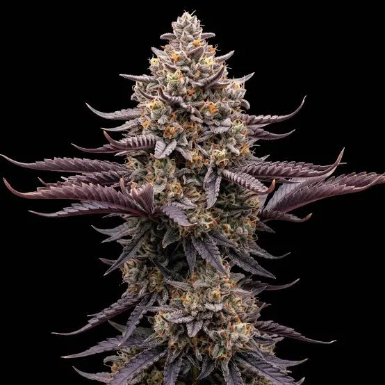 Banana Punch