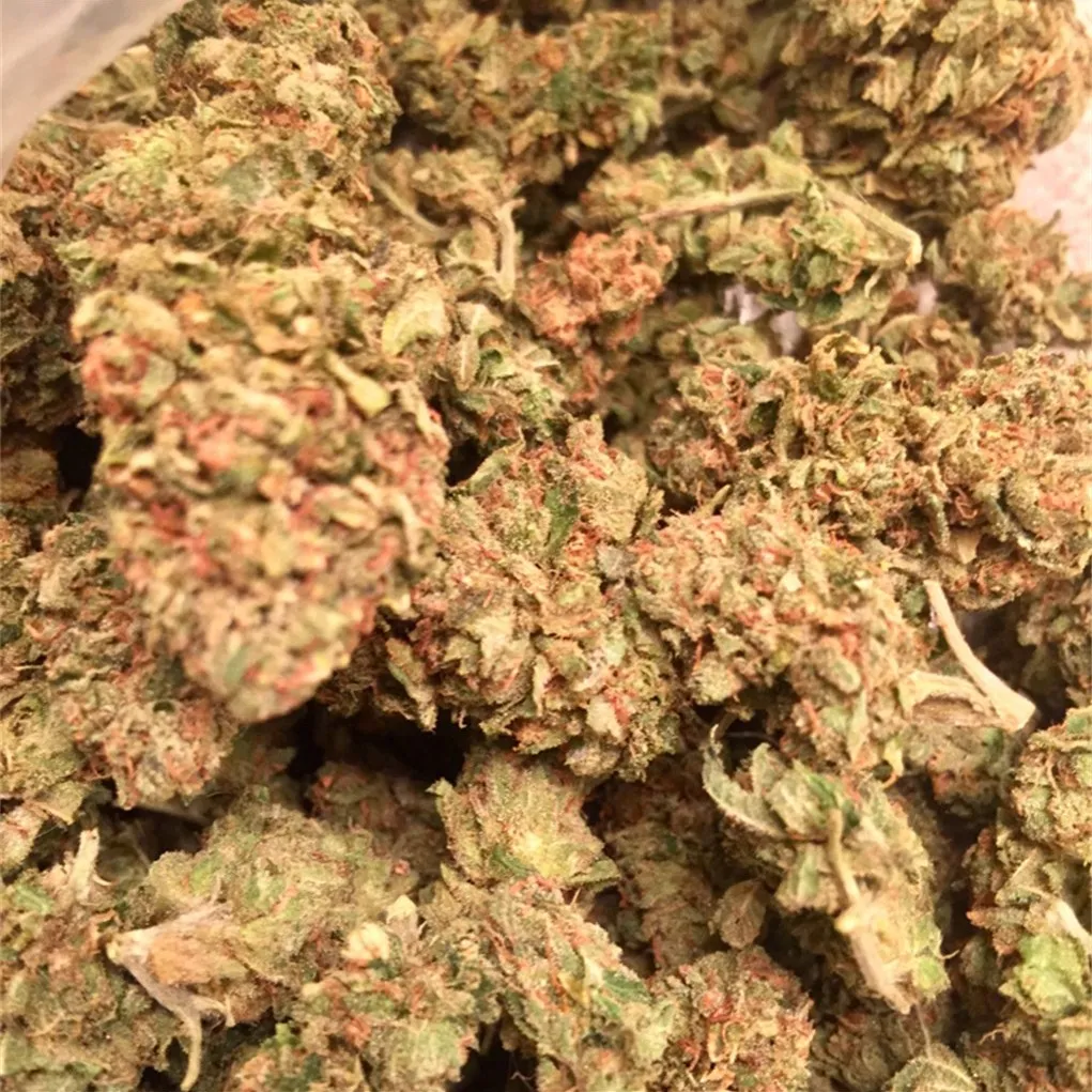 Face Off OG BX