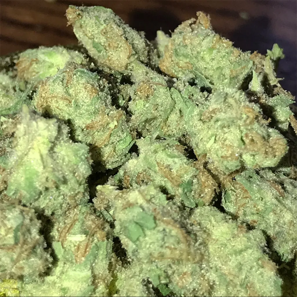 Grapefruit Starburst
