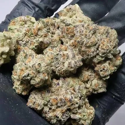 Hawaiian Indica