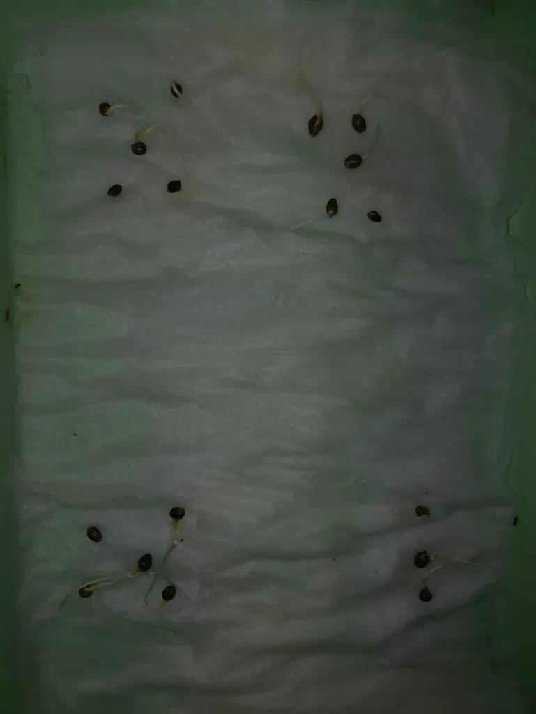 Run UKHTA Genetics