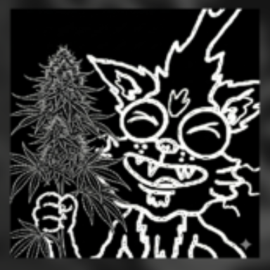 Profile photo of Miguelitro