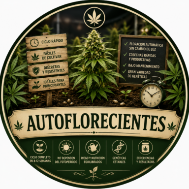 Autoflorecientes